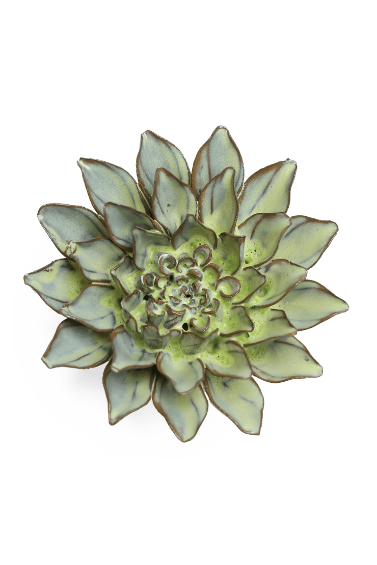Green Aster ceramic wall flower  — Japan collection — designed in Toronto by Chive Studio