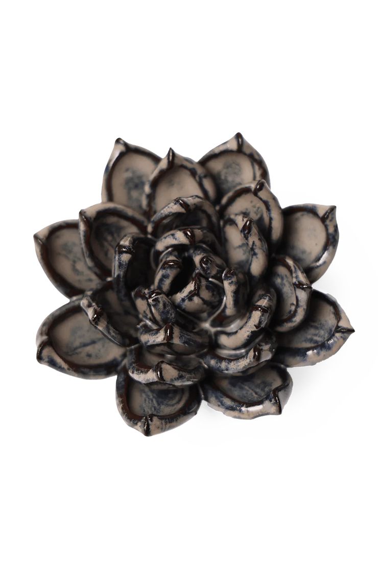 Latte Echeveria ceramic wall flower — Japan collection — designed in Toronto by Chive Studio