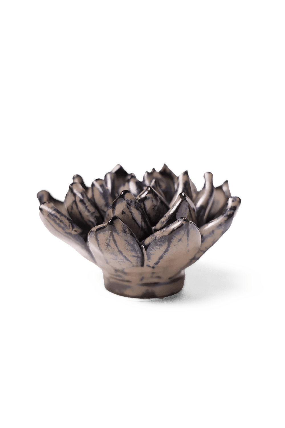 Latte Echeveria ceramic wall flower — Japan collection — designed in Toronto by Chive Studio