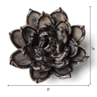 Latte Echeveria ceramic wall flower  — Japan collection — designed in Toronto by Chive Studio