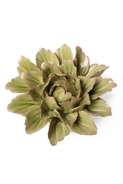 Peridot Sorbet Peony Ceramic Wall Flower | Chive