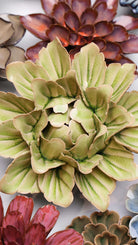 Peridot Sorbet Peony ceramic wall flower styled on a white table with other flowers — Chive Studio