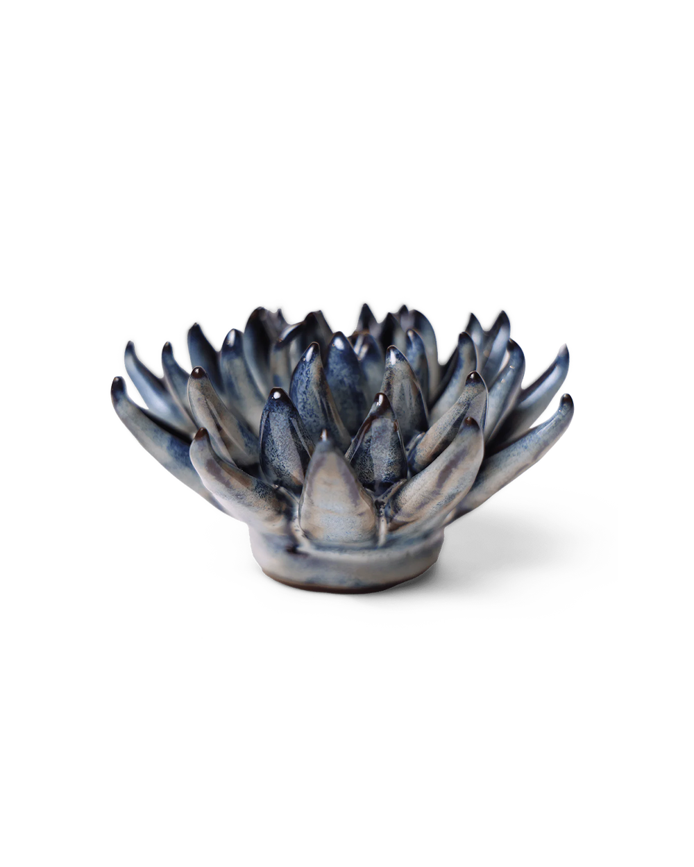45th Anniversary Gift | Chalksticks Succulent | Chive