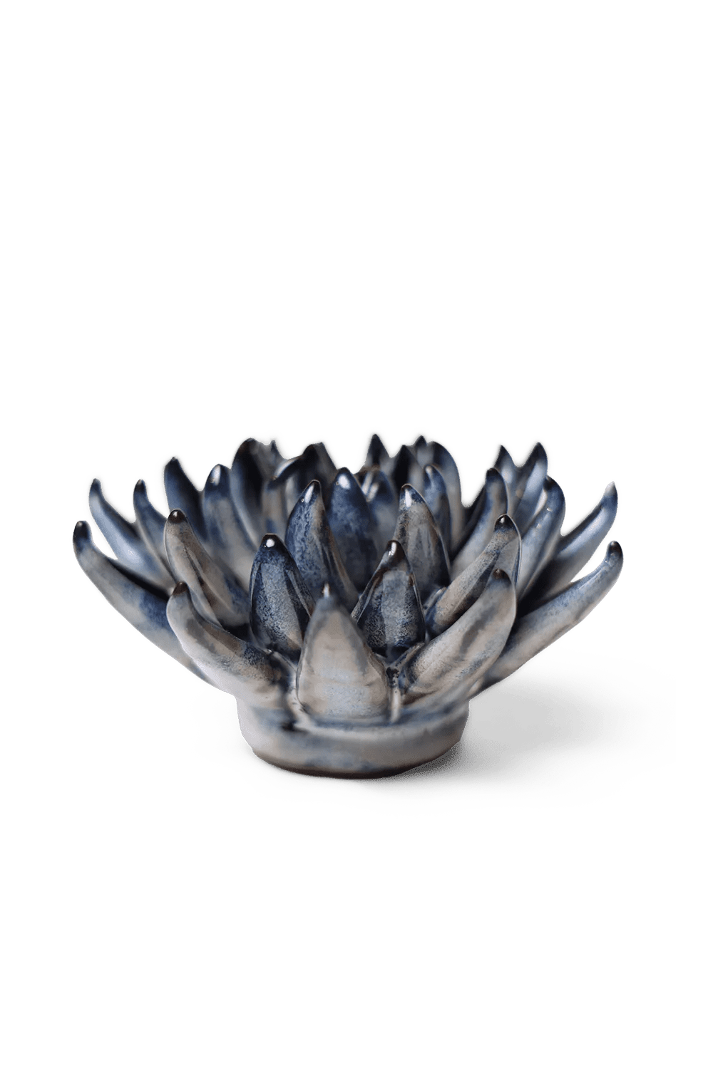 Navy Blue Succulent ceramic wall flower  — Japan collection — designed in Toronto by Chive Studio