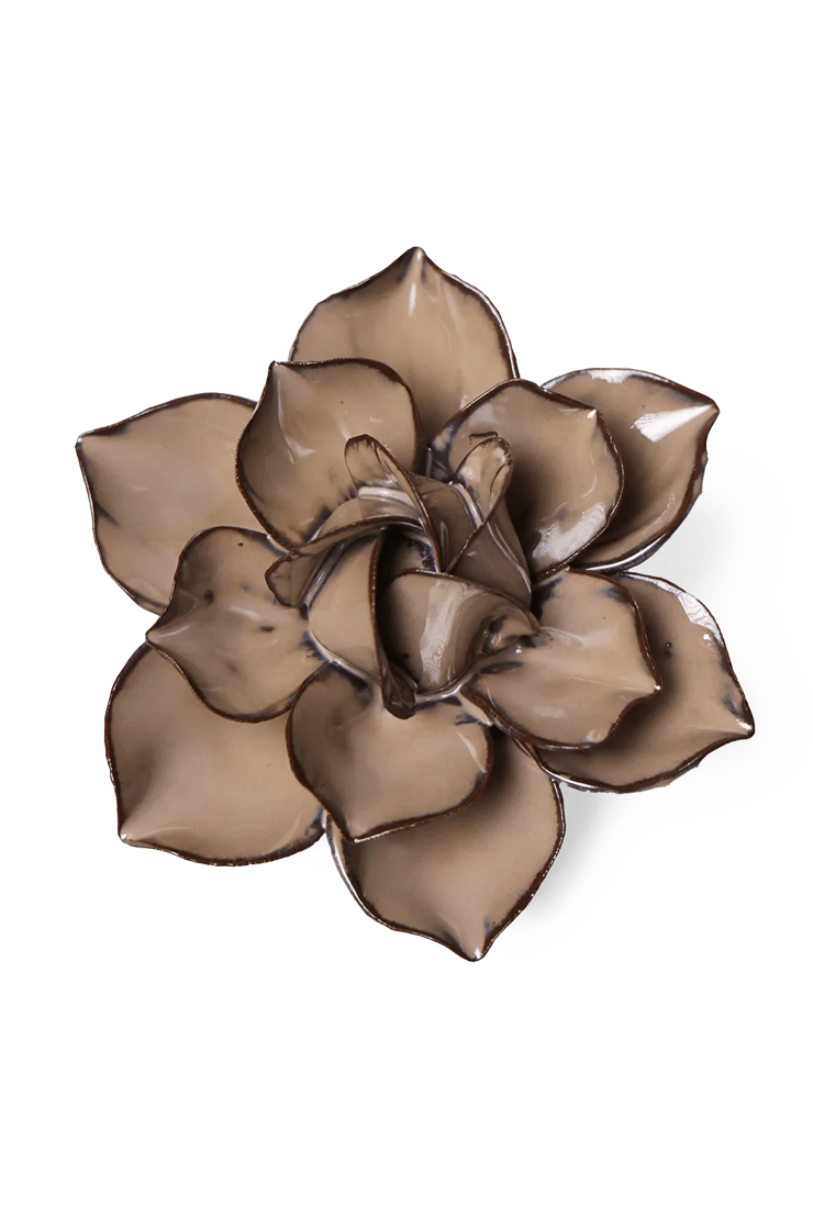 Latte Daffodil ceramic wall flower  — Japan collection — designed in Toronto by Chive Studio