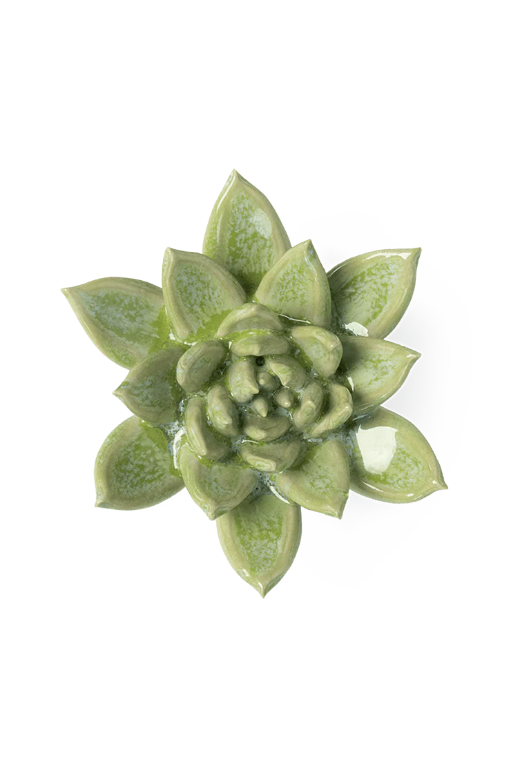 Pea Green Ghost Succulent ceramic wall flower  — Japan collection — designed in Toronto by Chive Studio