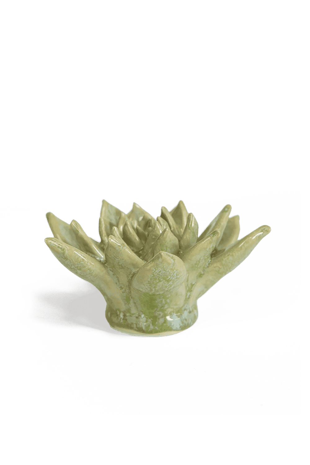 Pea Green Ghost Succulent ceramic wall flower  — Japan collection — designed in Toronto by Chive Studio