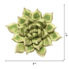 JA20 Pea Green Ghost Succulent - Chive Ceramics Studio - Ceramic Flowers - Chive Ceramics Studio
