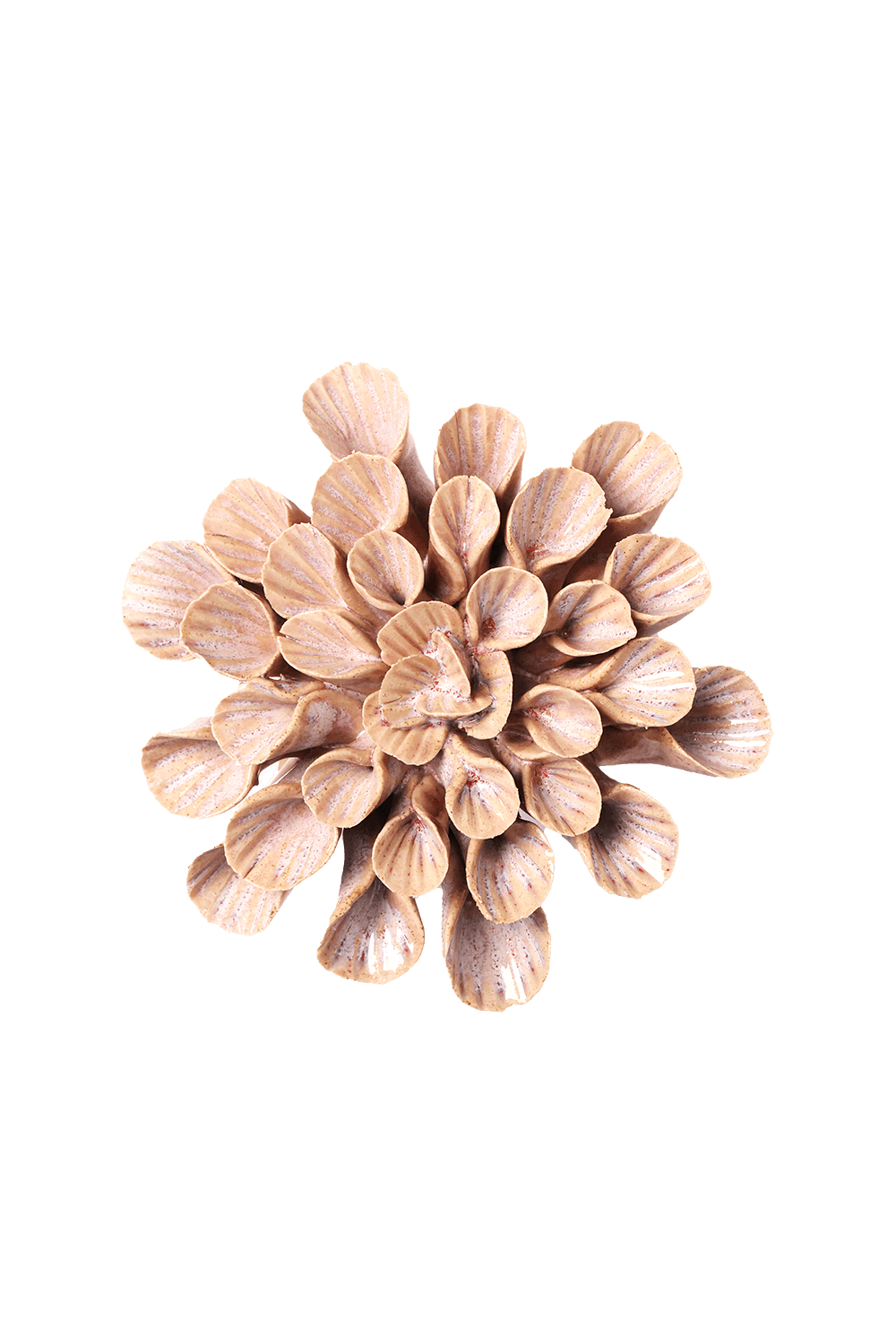 Great Star ceramic wall flower — Japan collection — Chive Ceramics Studio