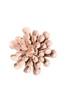 Great Star ceramic wall flower — Japan collection — Chive Ceramics Studio