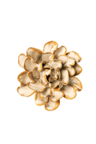 Hawthorn ceramic wall flower — Japan collection - Chive Ceramics Studio