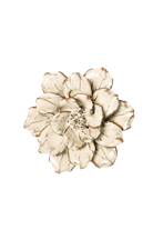 Cosmos ceramic wall flower — Japan collection — Chive Ceramics Studio