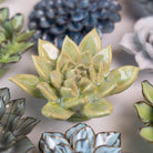 Ceramic Flower Japan Curated Collection #13 - Chive Ceramics Studio - Ceramic Flower Sets - Chive Ceramics Studio