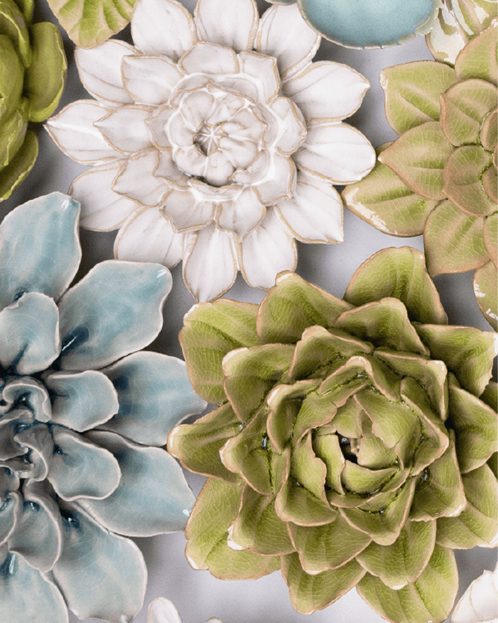 Petunia Flower Meaning | Avocado Green Petunia | Chive