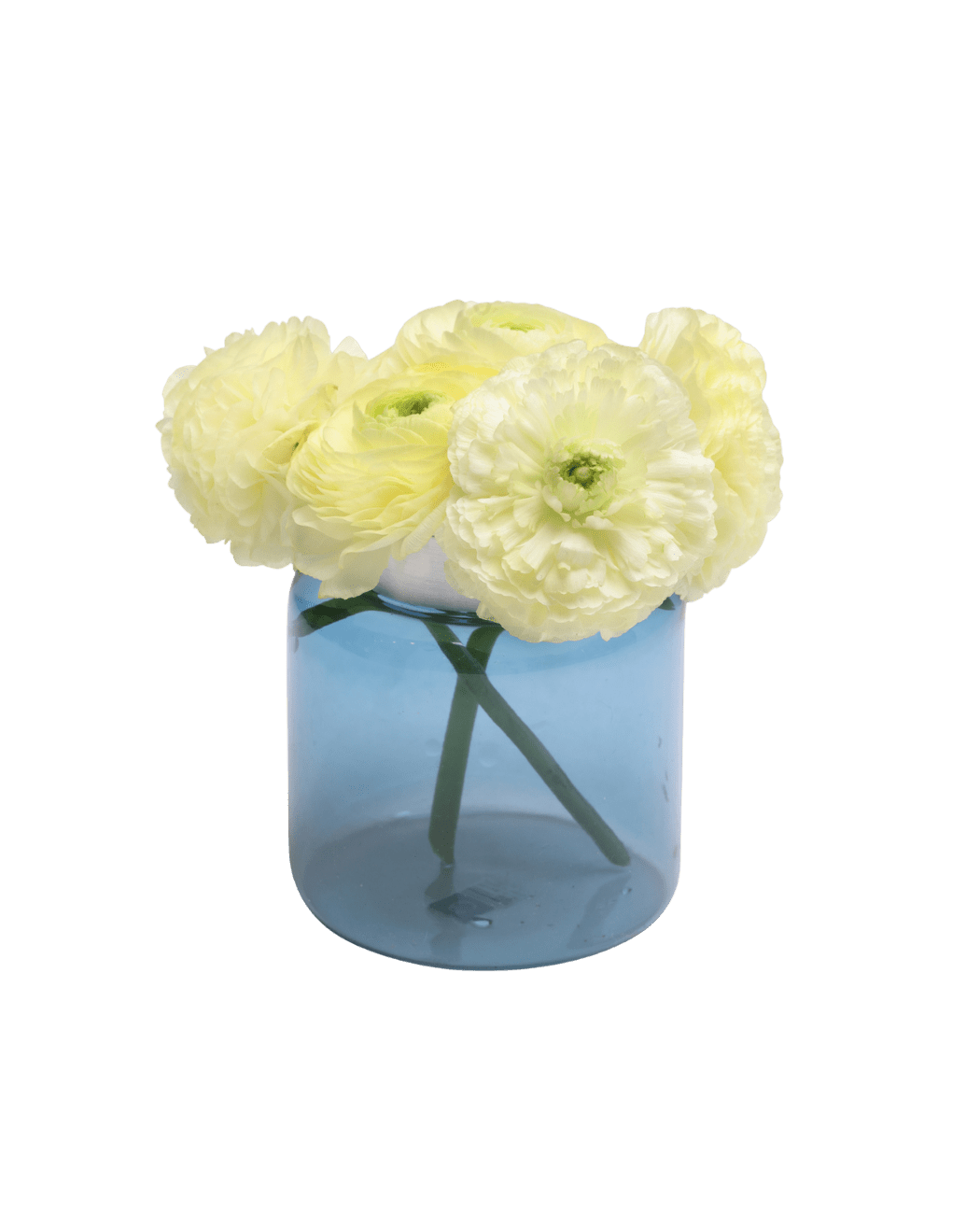 Jar Glass Modern Flower Vase - Chive Ceramics Studio - Vases - Chive US