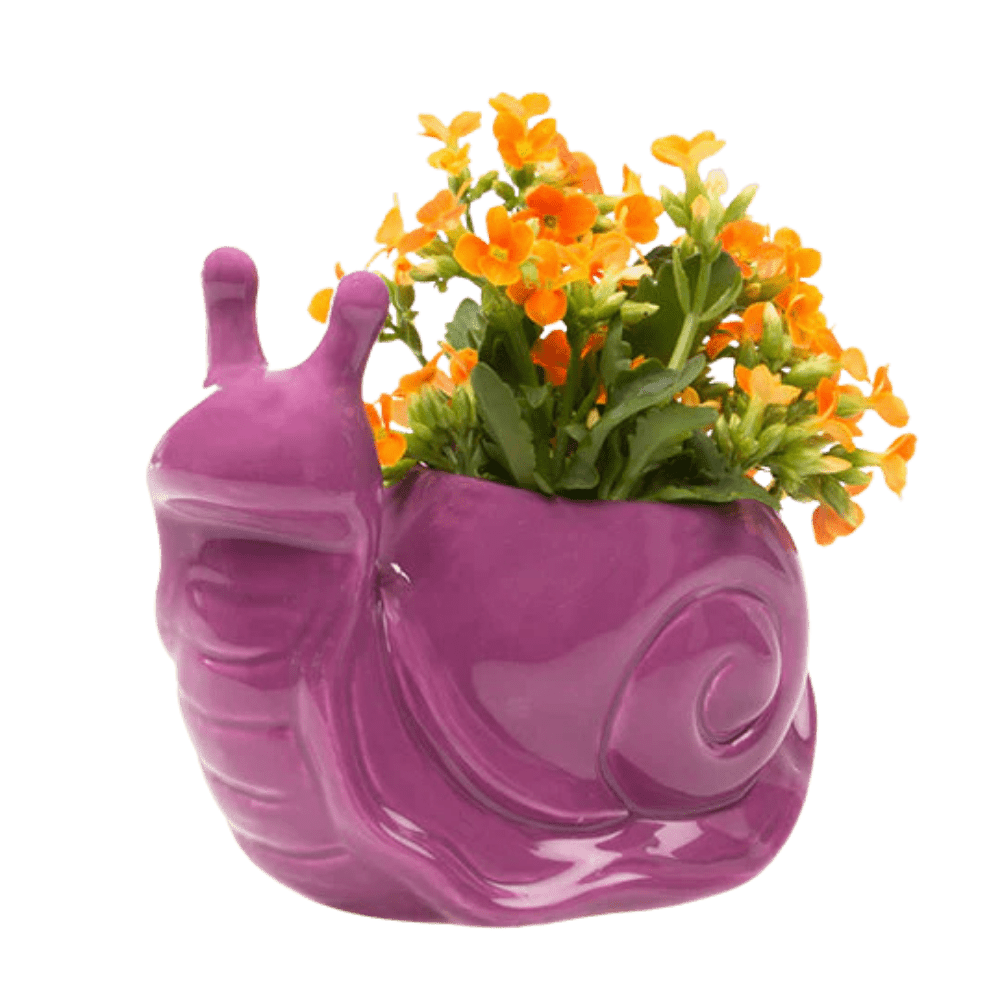 Snail Ceramic Indoor Plant Pot For Succulents - Chive Ceramics Studio - Pots - Chive US