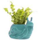 Snail Ceramic Indoor Plant Pot For Succulents - Chive Ceramics Studio - Pots - Chive US