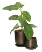 Joe Metal Pot With Drainage Hole | 3 & 5 inch - Chive Ceramics Studio - Pots - Chive Ceramics Studio