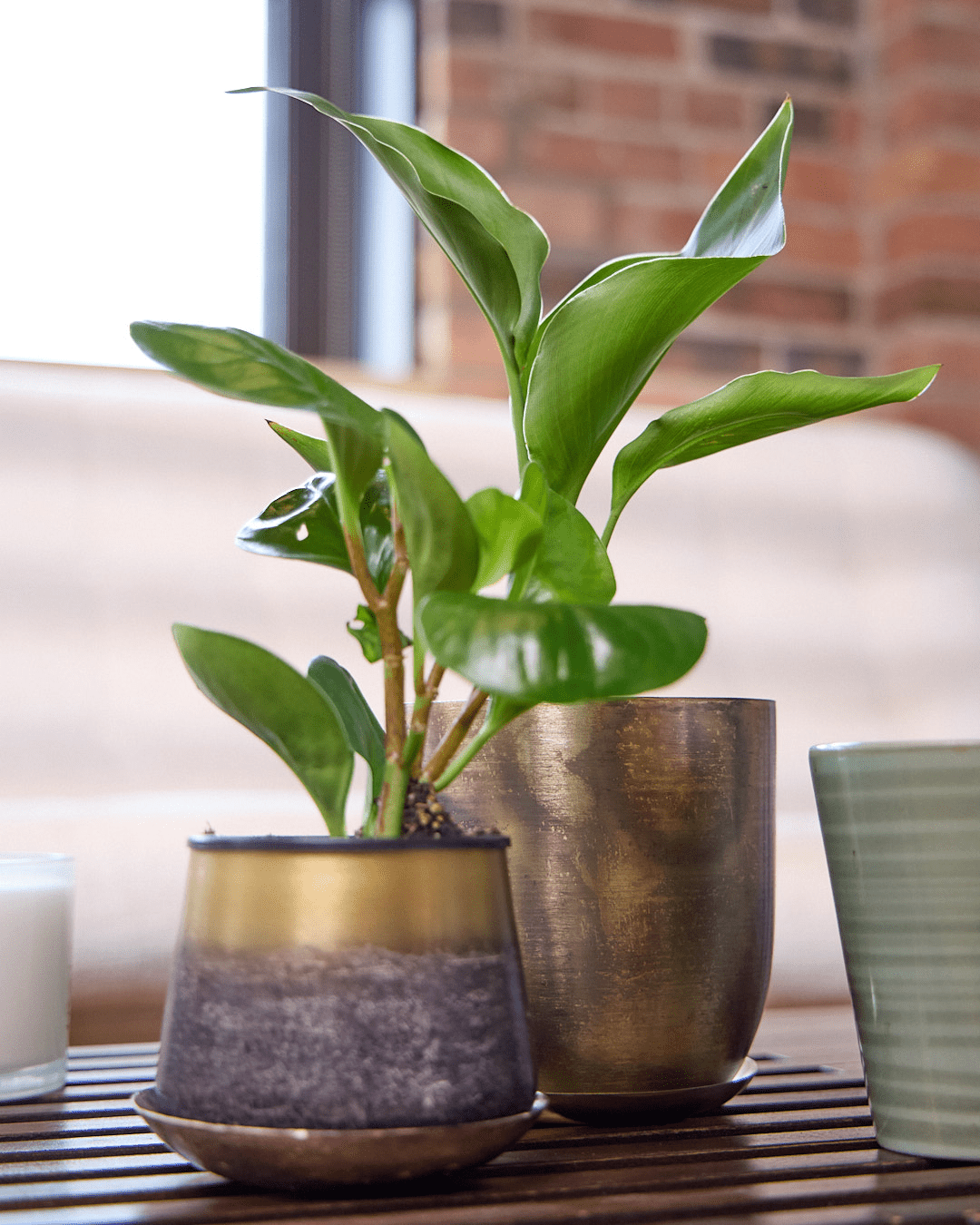 Joe Metal Pot With Drainage Hole - Chive Ceramics Studio - Pots - Chive US