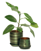 Joe Metal Pot With Drainage Hole | 3 & 5 inch - Chive Ceramics Studio - Pots - Chive Ceramics Studio