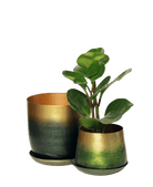 Joe Metal Pot With Drainage Hole | 3 & 5 inch - Chive Ceramics Studio - Pots - Chive Ceramics Studio