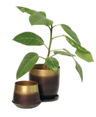 Joe Metal Pot With Drainage Hole | 3 & 5 inch - Chive Ceramics Studio - Pots - Chive Ceramics Studio