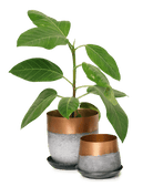 Joe Metal Pot With Drainage Hole | 3 & 5 inch - Chive Ceramics Studio - Pots - Chive Ceramics Studio