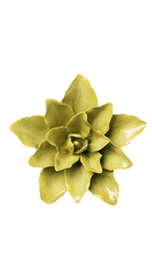 July Birth Flower - Water Lily ceramic wall flower — Birth Flower Collection — handmade by Chive Studio Toronto