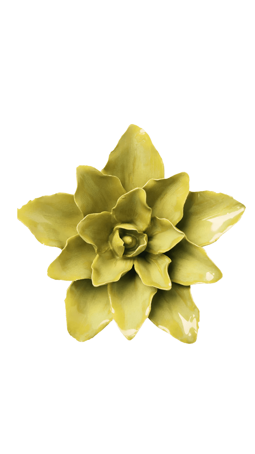 July Birth Flower - Water Lily ceramic wall flower — Birth Flower Collection — handmade by Chive Studio Toronto