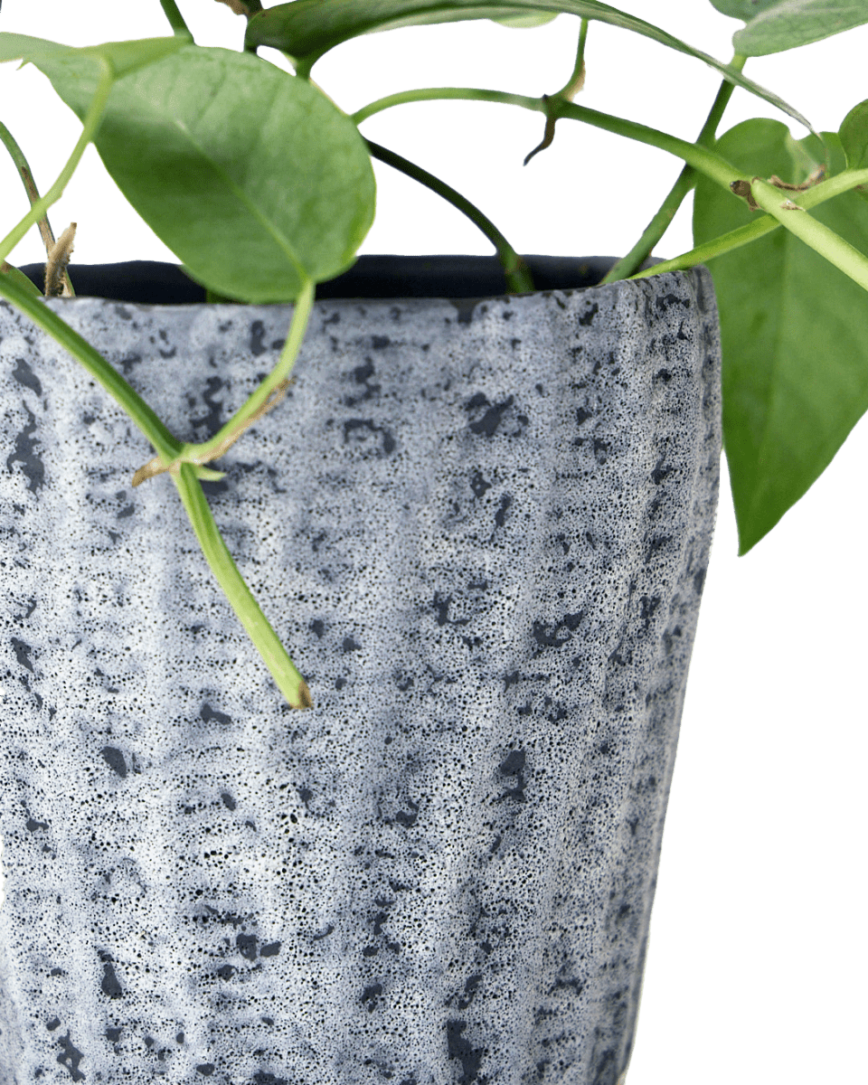 Katakana Ceramic Pot Planter - Chive Ceramics Studio - Pots - Chive Ceramics Studio