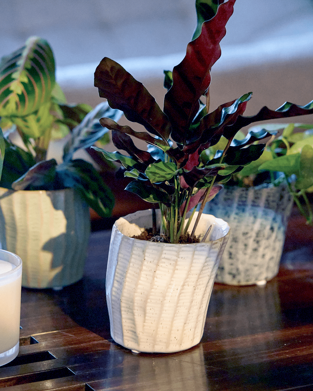 Katakana Ceramic Pot Planter - Chive Ceramics Studio - Pots - Chive Ceramics Studio