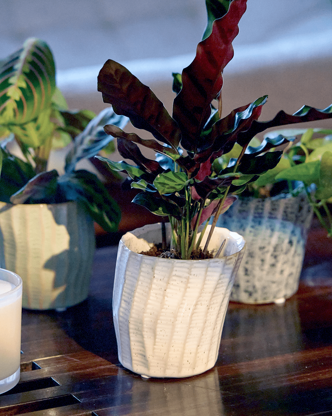 Katakana Ceramic Pot Planter - Chive Ceramics Studio - Pots - Chive Ceramics Studio