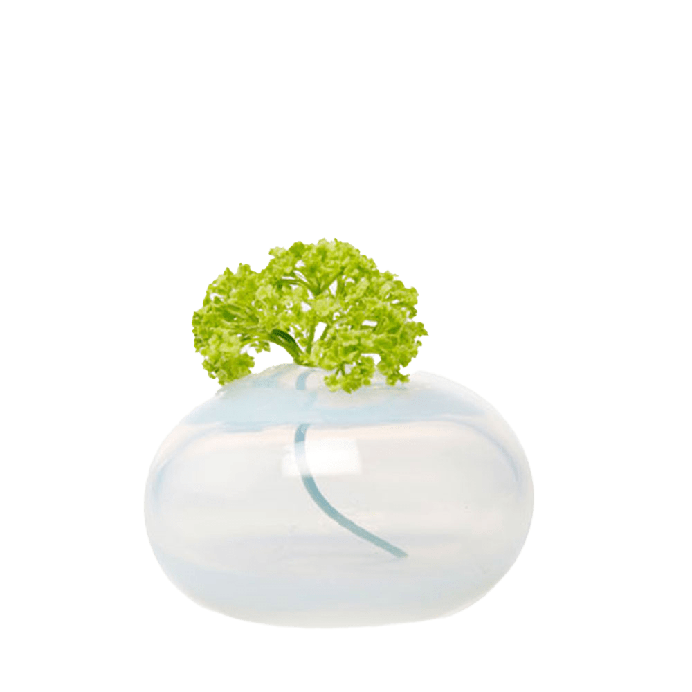 Ligne Glass Modern Flower Vase - Chive Ceramics Studio - Vases - Chive Ceramics Studio