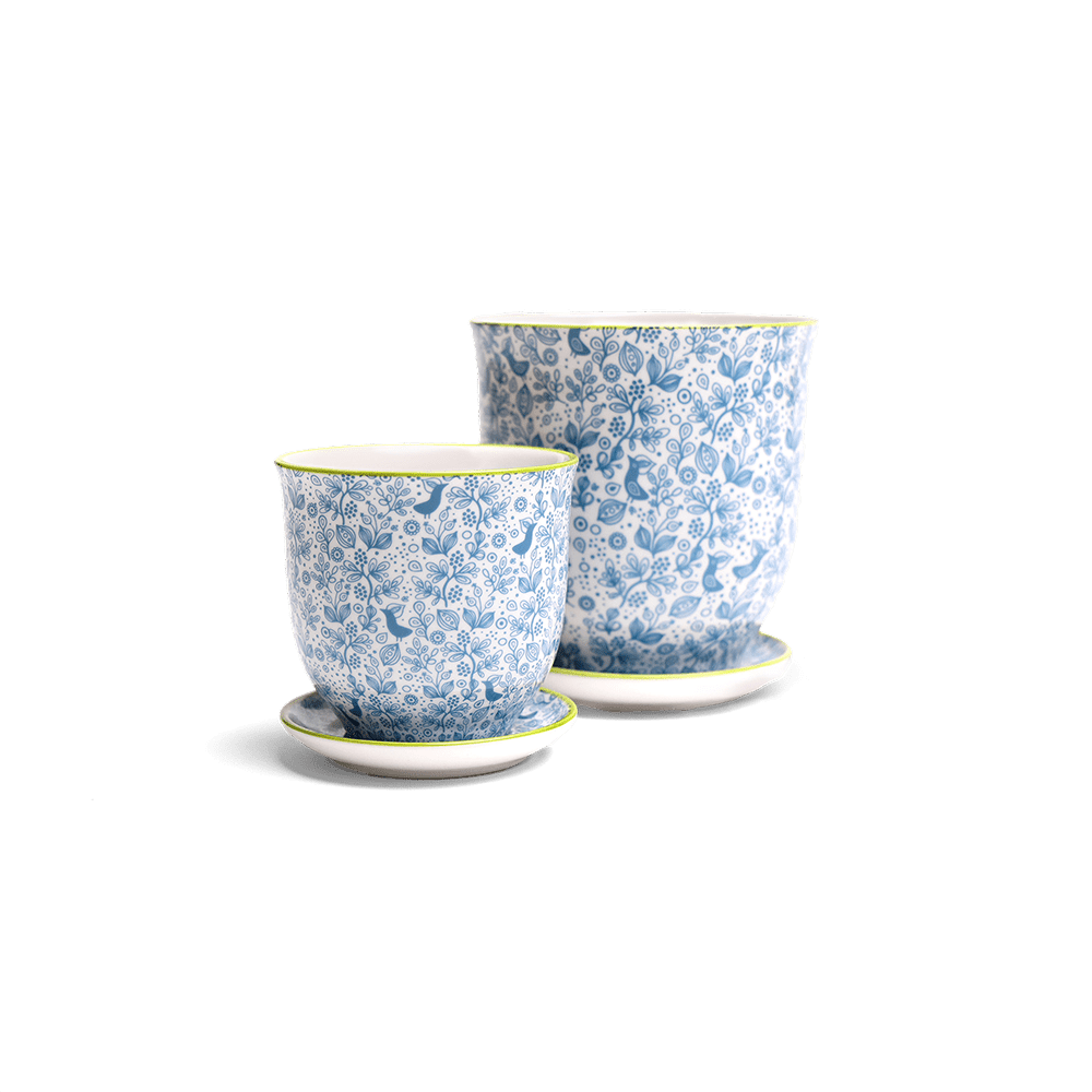 Liberte Porcelain Pot And Saucer Set With Drainage - Chive Ceramics Studio - Pots - Chive Ceramics Studio