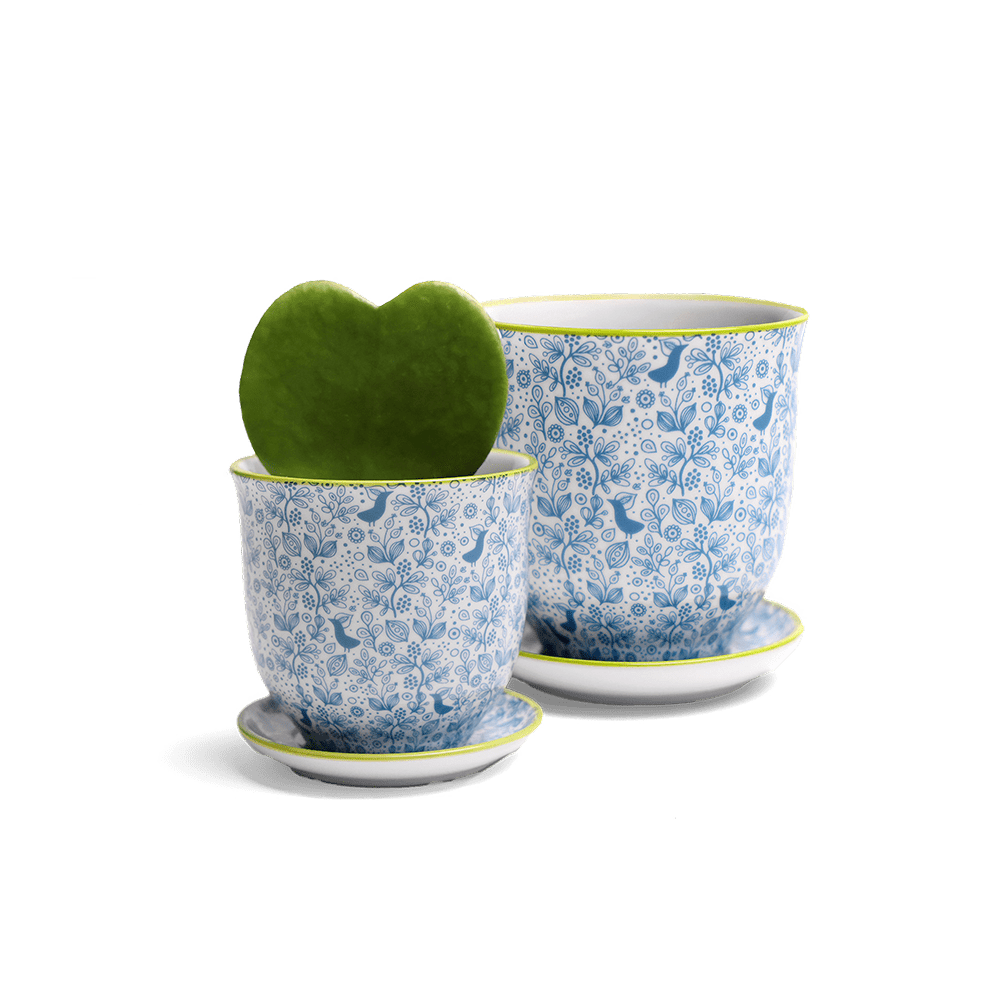 Liberte Porcelain Pot And Saucer Set With Drainage - Chive Ceramics Studio - Pots - Chive Ceramics Studio