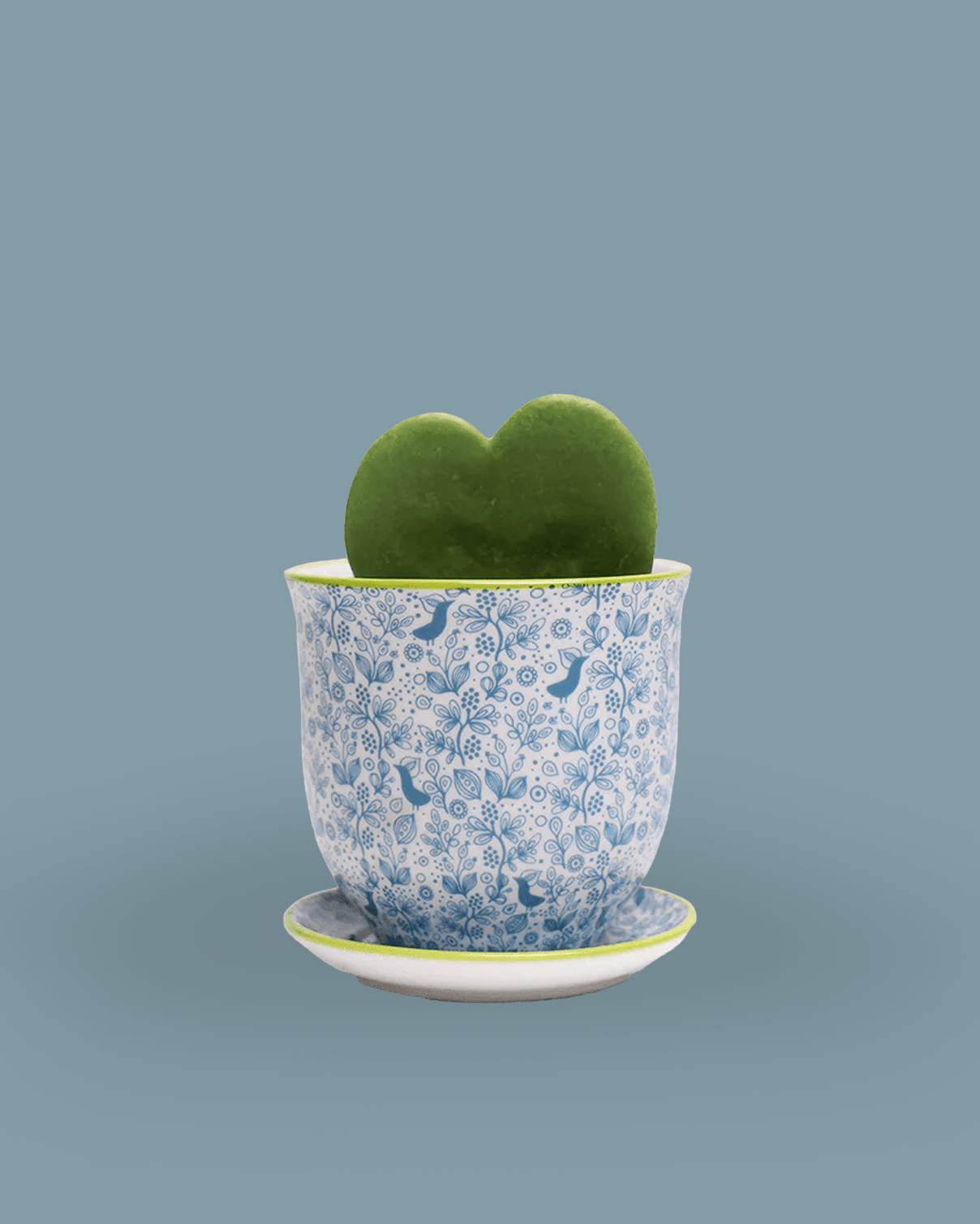 Liberte Porcelain Pot And Saucer 3.25" - Chive Ceramics Studio - Pots - Chive Ceramics Studio