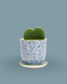 Liberte Porcelain Pot And Saucer 3.25" - Chive Ceramics Studio - Pots - Chive Ceramics Studio