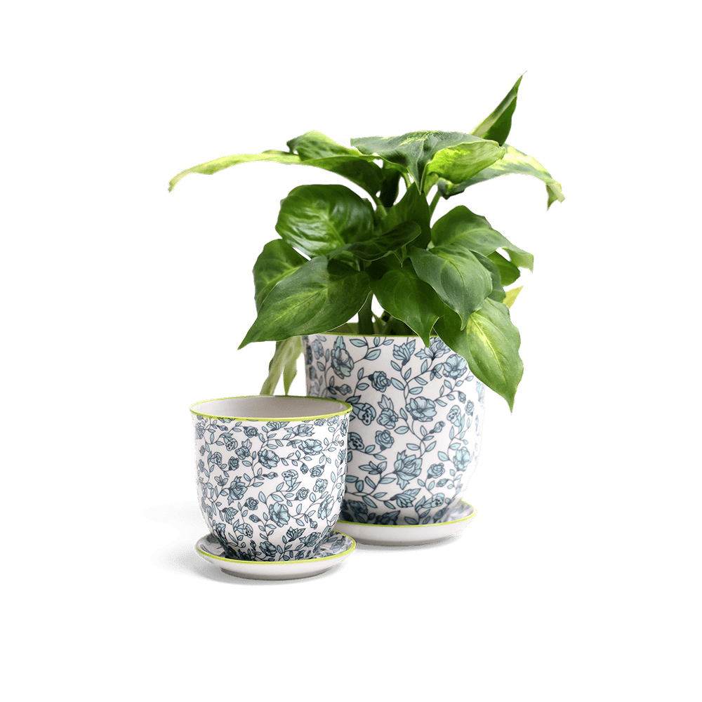 Liberte Porcelain Pot And Saucer Set With Drainage - Chive Ceramics Studio - Pots - Chive Ceramics Studio