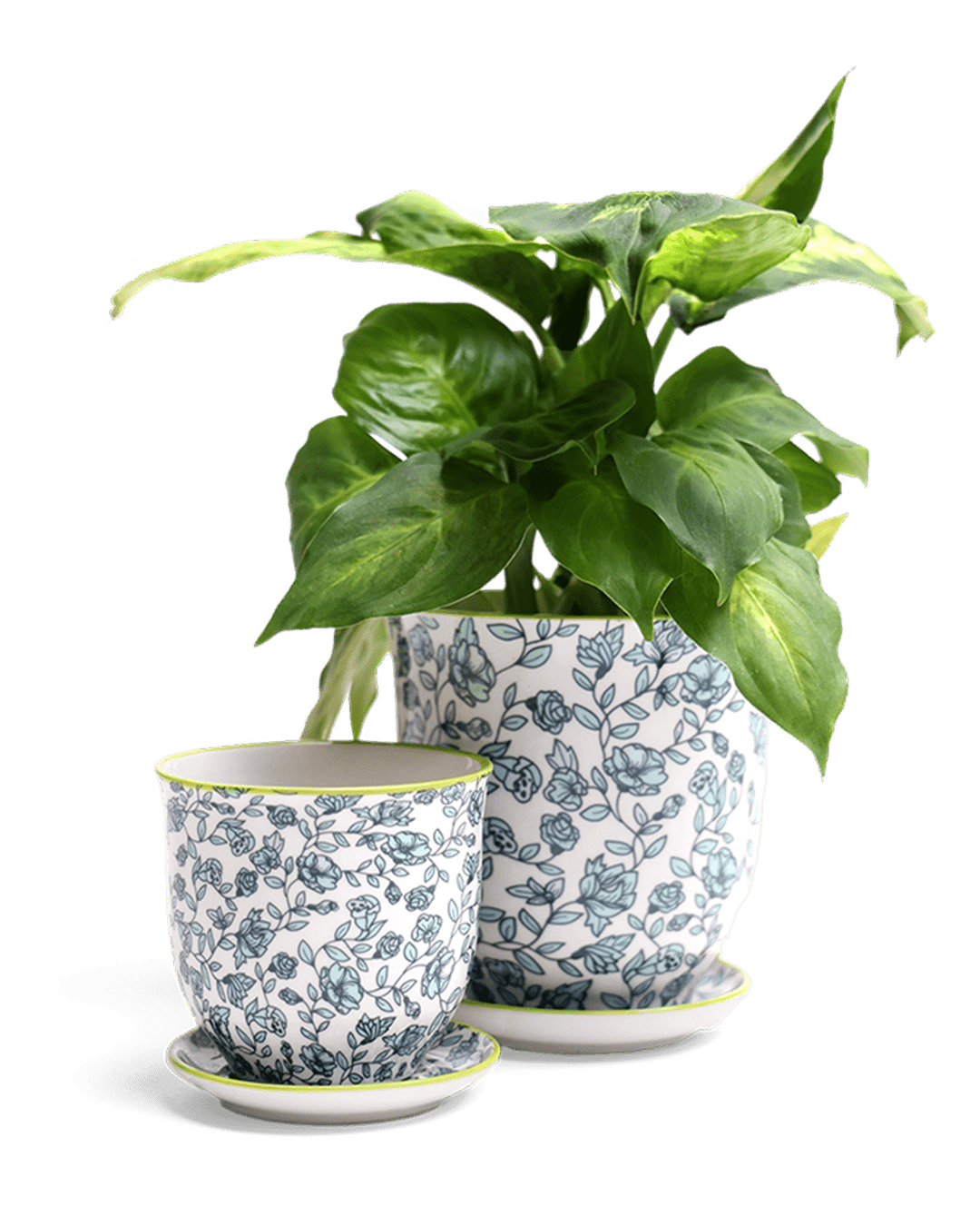 Liberte Porcelain Pot And Saucer Set With Drainage - Chive Ceramics Studio - Pots - Chive Ceramics Studio