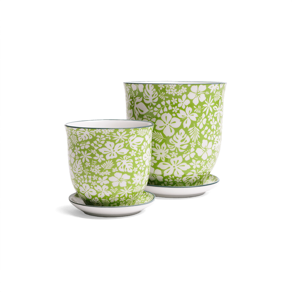 Liberte Porcelain Pot And Saucer Set With Drainage - Chive Ceramics Studio - Pots - Chive Ceramics Studio