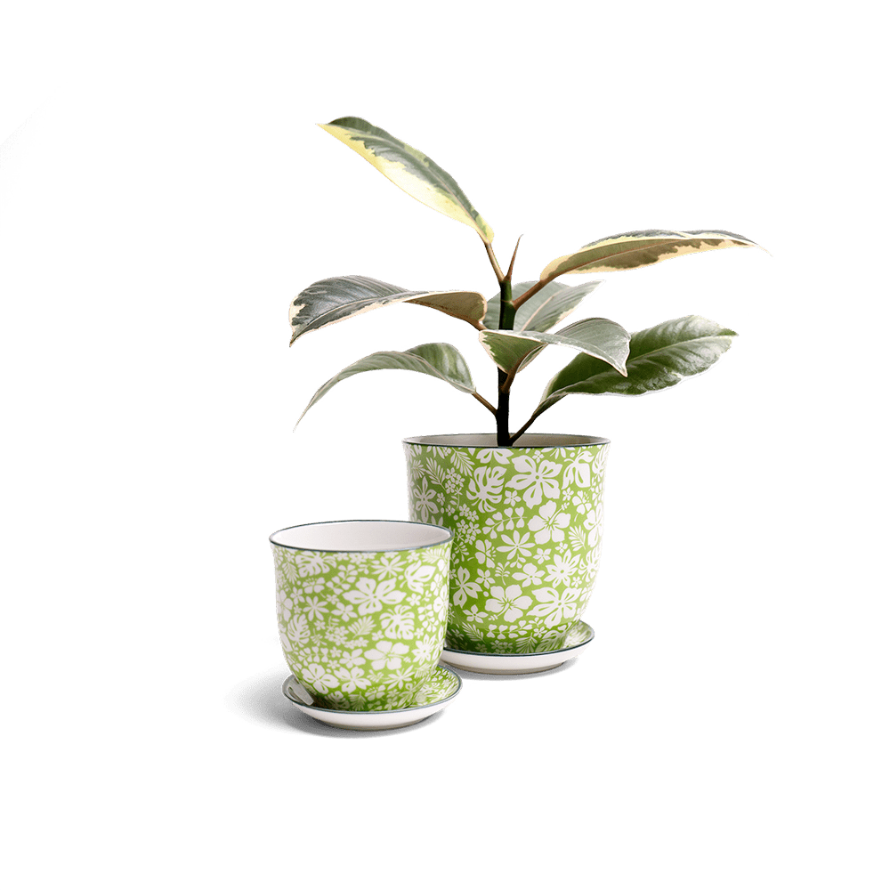 Liberte Porcelain Pot And Saucer Set With Drainage - Chive Ceramics Studio - Pots - Chive Ceramics Studio