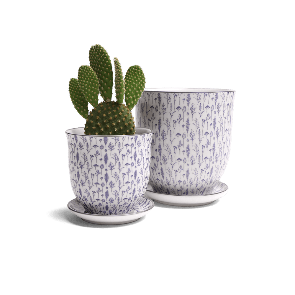 Liberte Porcelain Pot And Saucer Set With Drainage - Chive Ceramics Studio - Pots - Chive Ceramics Studio