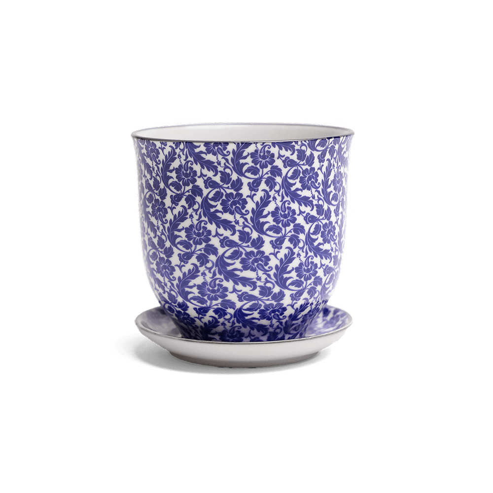 Liberte Porcelain Pot And Saucer Set With Drainage - Chive Ceramics Studio - Pots - Chive Ceramics Studio