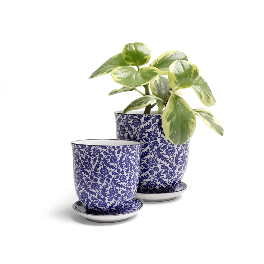 Liberte Porcelain Pot And Saucer Set With Drainage - Chive Ceramics Studio - Pots - Chive Ceramics Studio