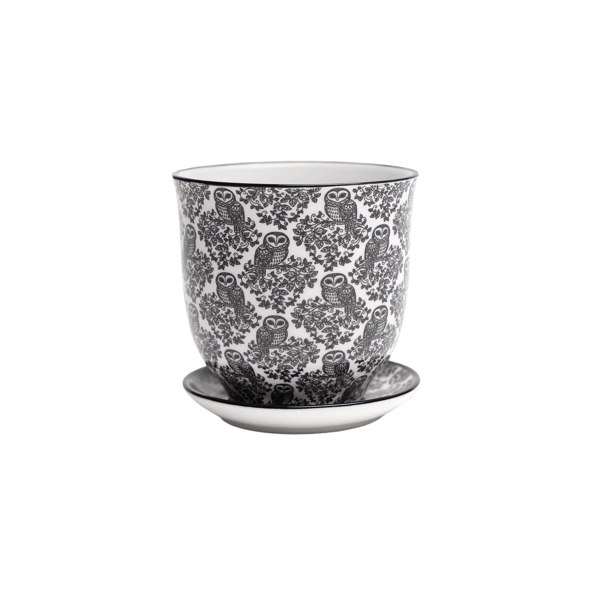 Liberte Porcelain Pot And Saucer 3.25" - Chive Ceramics Studio - Pots - Chive Ceramics Studio