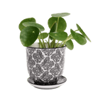 Liberte Porcelain Pot And Saucer 3.25" - Chive Ceramics Studio - Pots - Chive Ceramics Studio