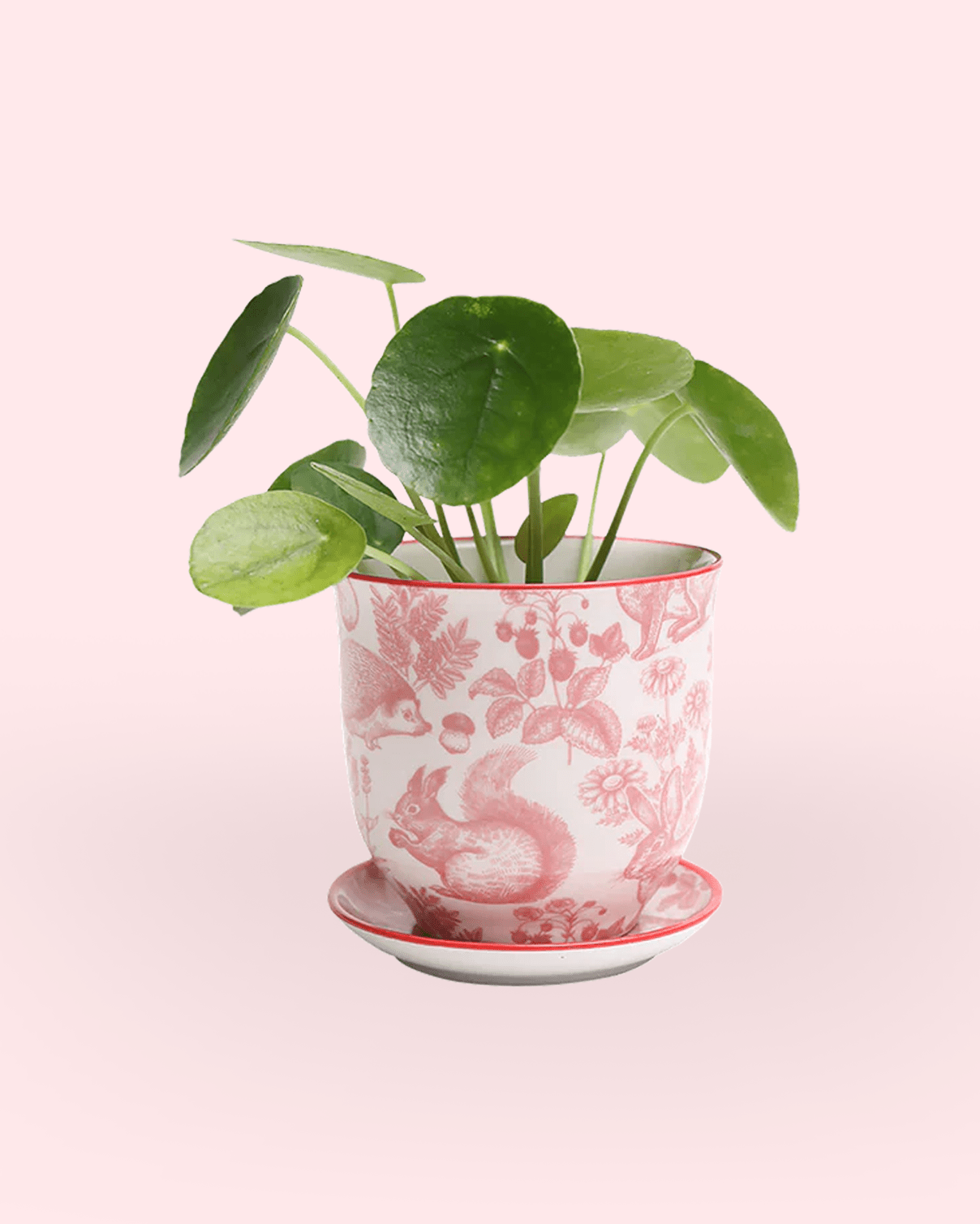 Liberte Porcelain Pot And Saucer 3.25" - Chive Ceramics Studio - Pots - Chive Ceramics Studio