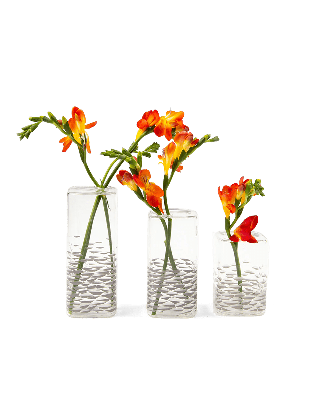 Decal Glass Modern Flower Vase - Chive Ceramics Studio - Vases - Chive US