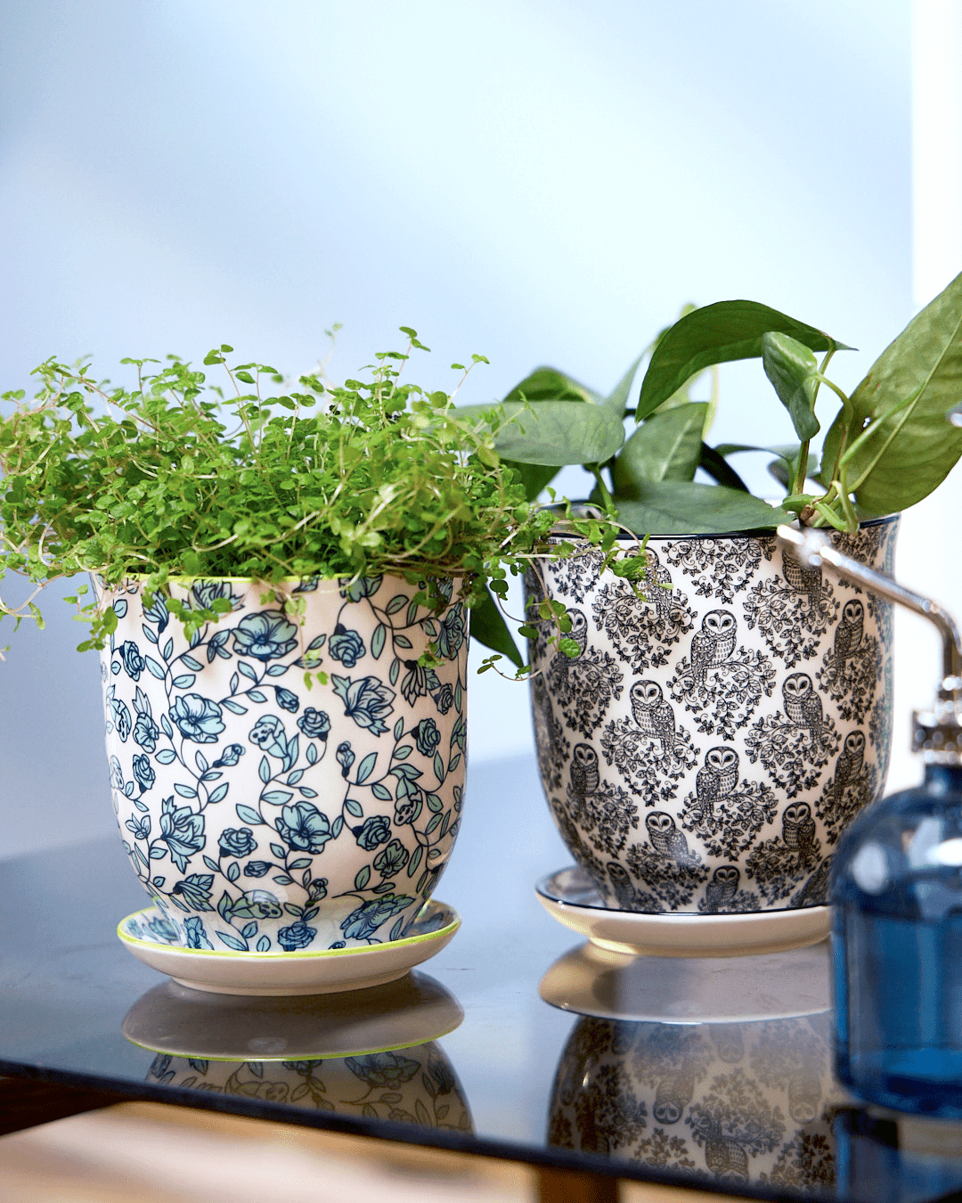 Liberte Porcelain Pot And Saucer Set With Drainage - Chive Ceramics Studio - Pots - Chive Ceramics Studio