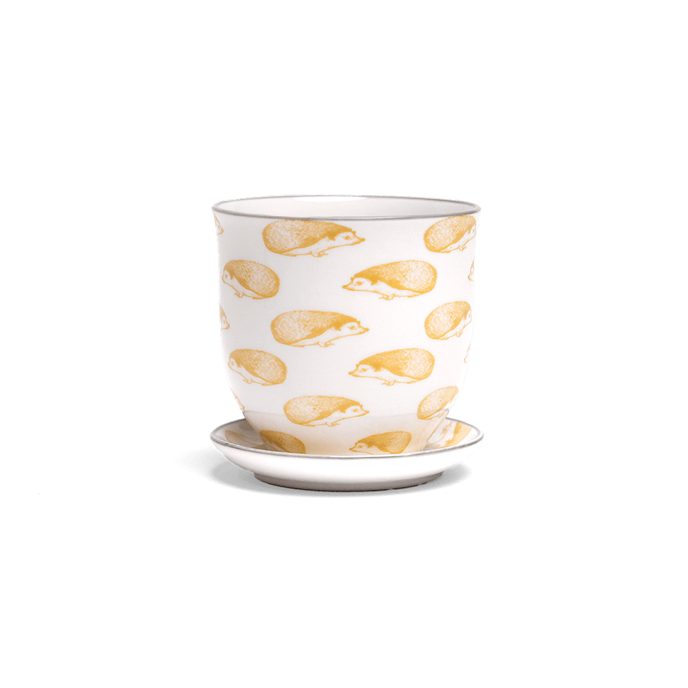 Liberte Porcelain Pot And Saucer Set With Drainage | 3.25 inch - Chive Ceramics Studio - Pots - Chive Ceramics Studio